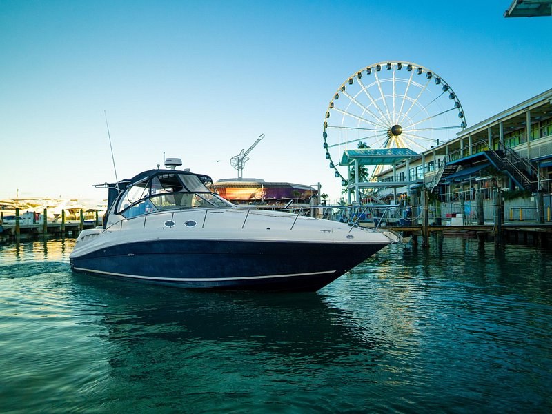2-Hour Miami Private Boat Tour: Skyline & Star Island